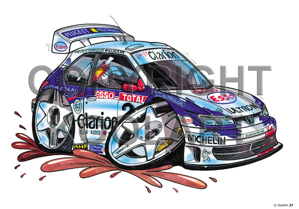 Peugeot 307 Maxi Delecour (SKU27)